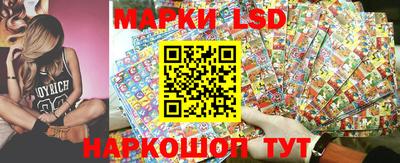 бошки Гатчина