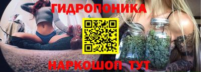 бошки Гатчина