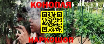 бошки Гатчина