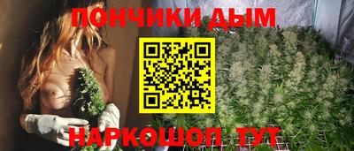 бошки Гатчина