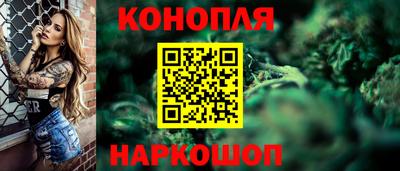 бошки Гатчина