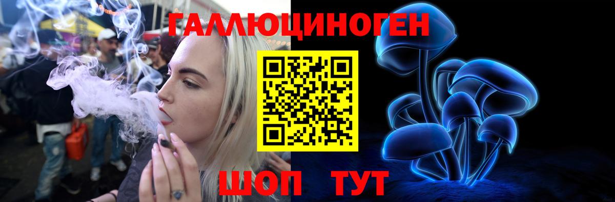 Наро-Фоминск  Псилоцибиновые грибы Cubensis  Вход с VPN  Псилоцибиновые грибы Cubensis 